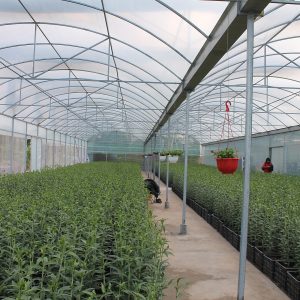 Agricultural Shade Net